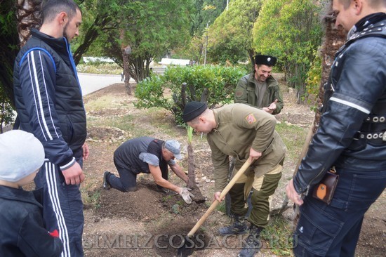 akciya-ozeleneniya-parka-simeiza