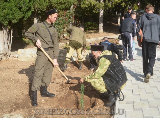 akciya-ozeleneniya-parka-simeiza