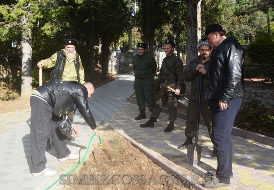 akciya-ozeleneniya-parka-simeiza